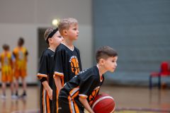 IMG-20240226-WA0002