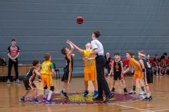 IMG-20240226-WA0021
